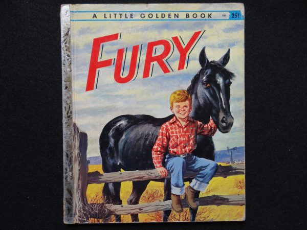 Fury