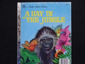 A Day in the Jungle