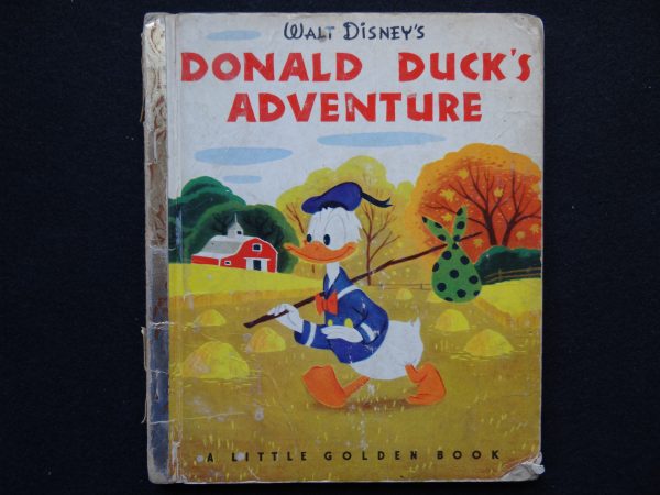 Donald Duck's Adventure