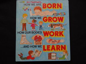 How We Are Born How We Grow How Our Bodies Work and How We Learn- Big Golden Book