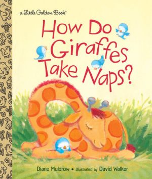 How Do Giraffes Tale Naps?