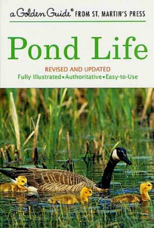 Pond  Life