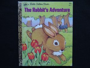 The Rabbit's Adventure