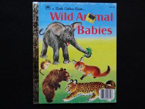 Wild Animal Babies
