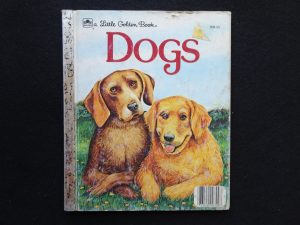 Dogs- D