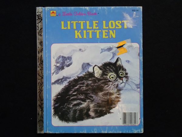 Little Lost Kitten- D