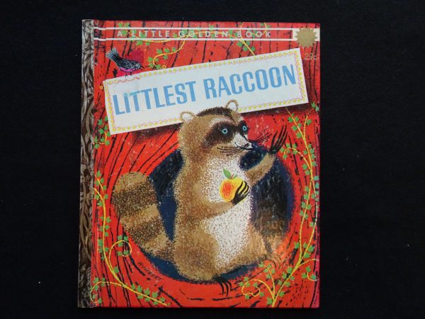 Littlest Raccoon-A