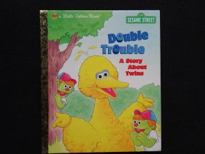 Double Trouble- A Story About Twins