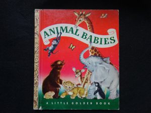 Animal Babies