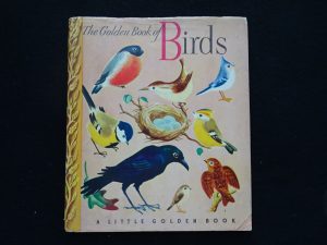The Golden Book of Birds- Dust Jacket!