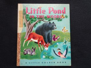 Little Pond in the Woods- A