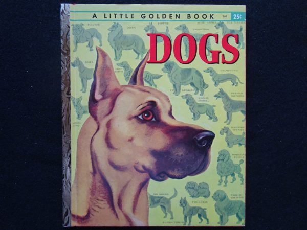 Dogs- A