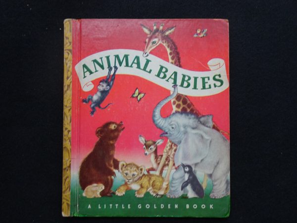 Animal Babies- F