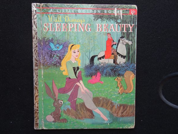 Sleeping Beauty- B