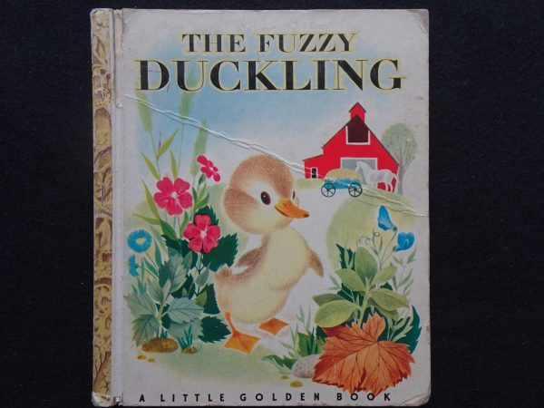 The Fuzzy Duckling- A