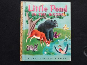 Little Pond in the Woods- B