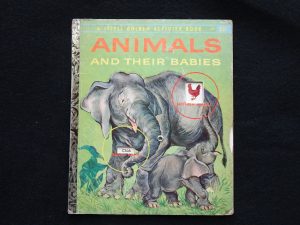 Animals and Their Babies- A