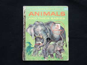 Animals and Their Babies