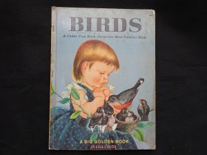 BGB- Birds (Eloise Wilkin)