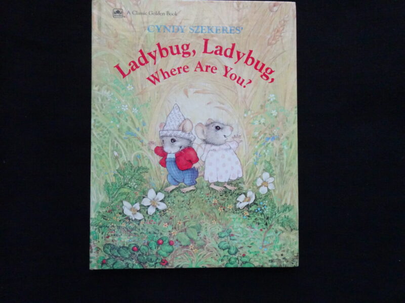 BGB- Ladybug, Ladybug, Where Are You?- 1991