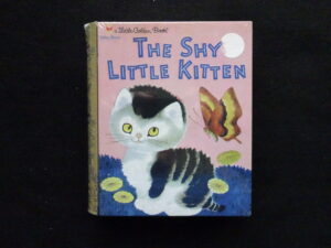 Shy Little Kitten Tin Box