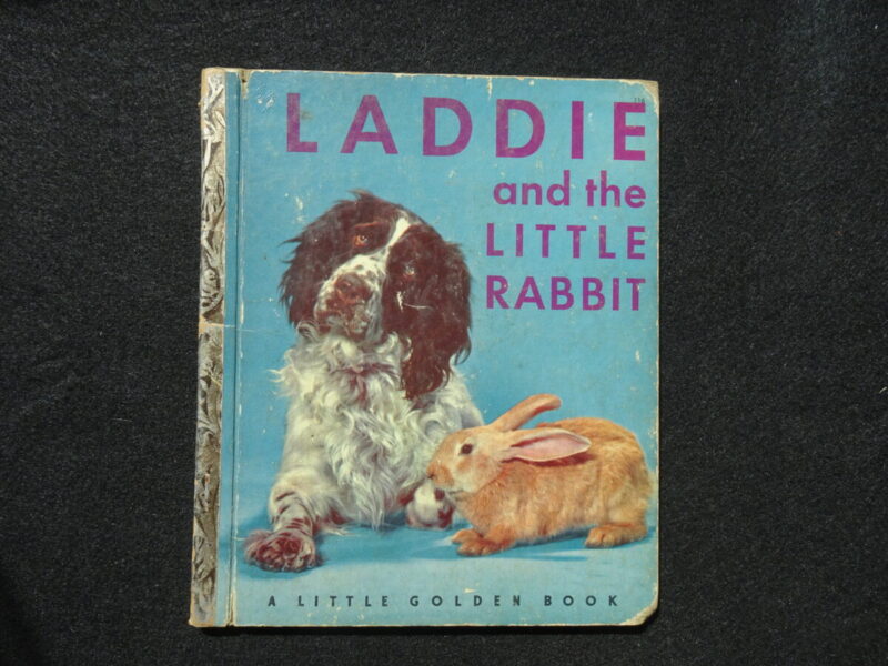 Laddie and the Little Rabbit