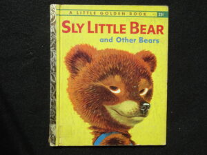 Sly Little Bear