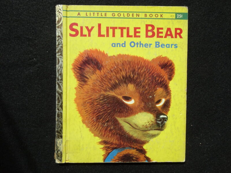 Sly Little Bear