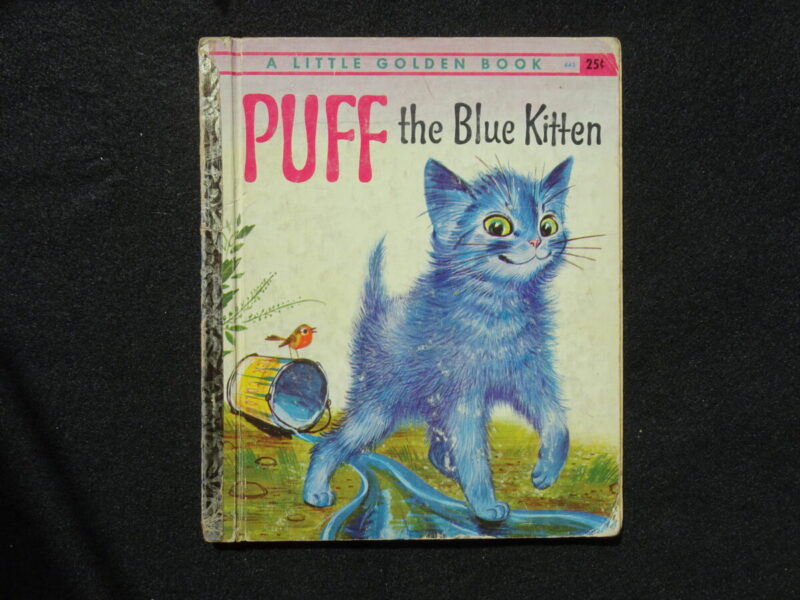 PUFF the Blue Kitten
